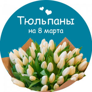 Купить тюльпаны в Северодонецке